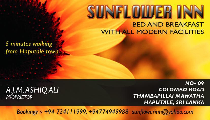 Sunflower Inn Haputale Esterno foto